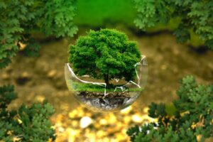 Environmentalism- A Brief History Of living with the nature