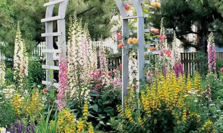 Flower Garden Design Tips to Create Most Gorgeous Landscape