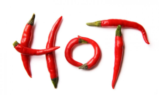 Health benefits of hot peppers and how to grow in your garden