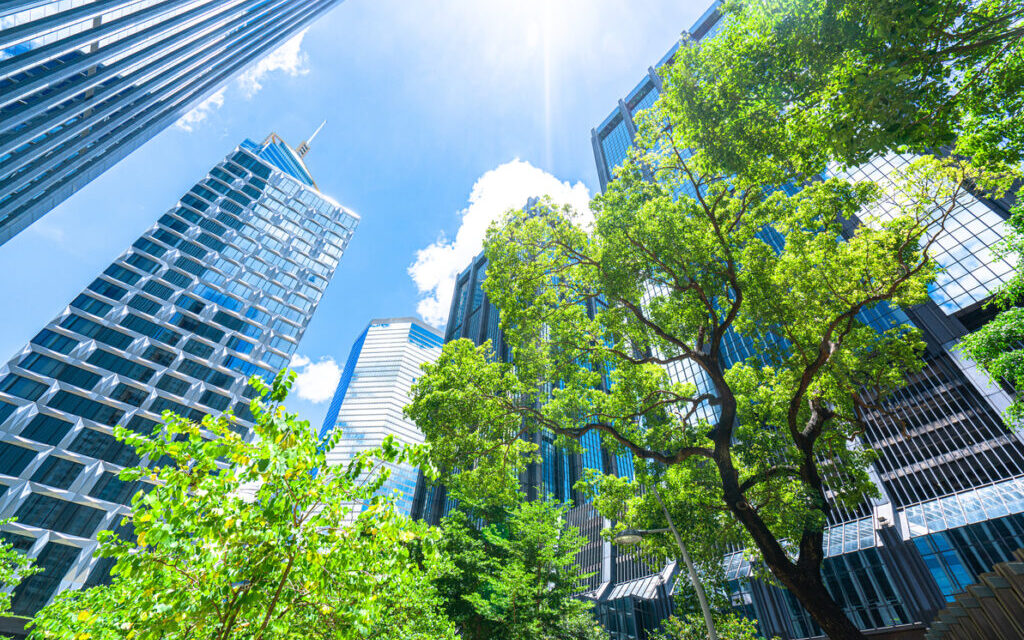 The Rise of Sustainable Real Estate: A Green Revolution