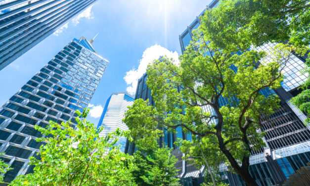 The Rise of Sustainable Real Estate: A Green Revolution