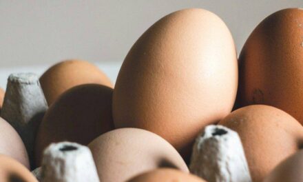 How Organic Eggs Enhance the Flavor of Your Meals