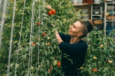 How to Grow Vegetables in Your Garden: Best Practices for Beginners