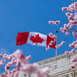 Top Tips for Capturing Perfect Cherry Blossom Photos in Toronto, 2025