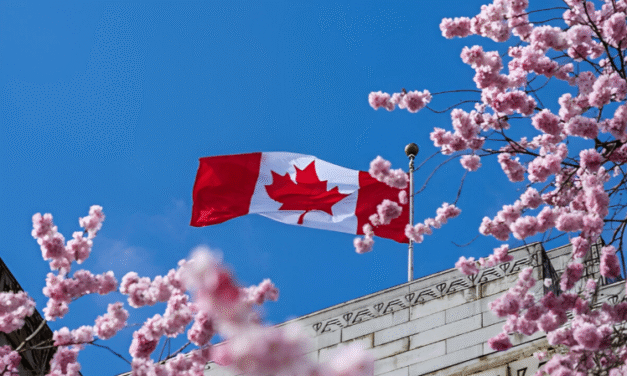 Top Tips for Capturing Perfect Cherry Blossom Photos in Toronto, 2025