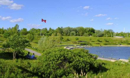 Discover Downsview Park: A Complete Visitor’s Guide