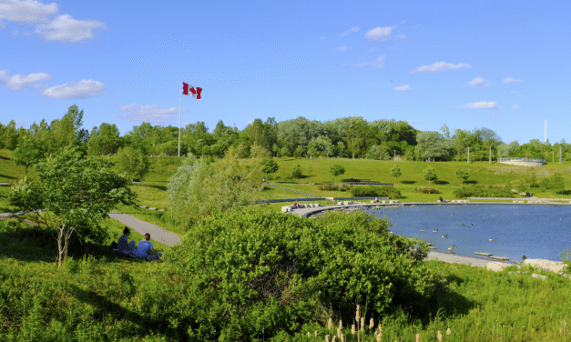 Discover Downsview Park: A Complete Visitor’s Guide