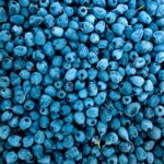FDA Labels Organic Blueberry Recall as Deadly: What You Need to Know