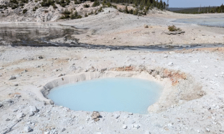 Another Sinkhole Has Opened Up at Yellowstone National Park