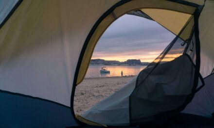 Sylvan Lake Waterfront Implements No-Tent Zones to Improve Visitor Experience