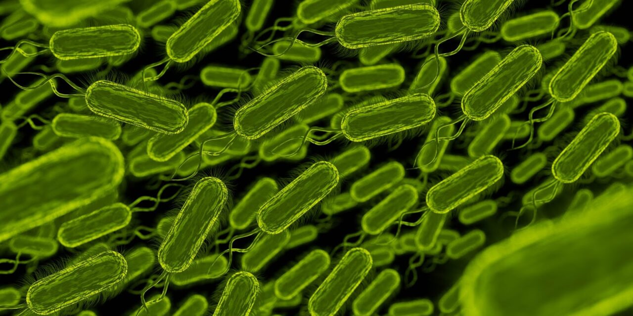 Salmonella Outbreak in Canada Linked to Pistachios