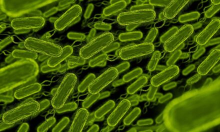 Salmonella Outbreak in Canada Linked to Pistachios
