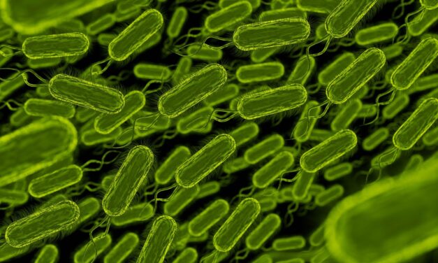 Salmonella Outbreak in Canada Linked to Pistachios